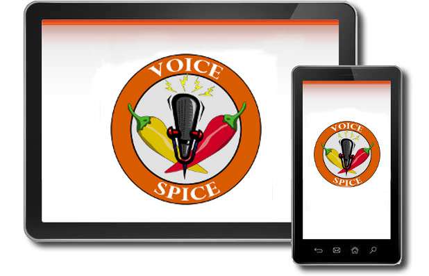 Easy Voice Recorder App